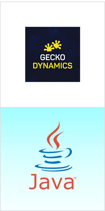 gecko java developers - Sabma Digital
