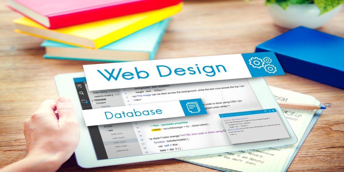 Web Development vs Web Design: Understanding the Key Differences