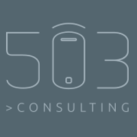 503 Consulting
