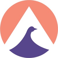 Aarav Web Solutions