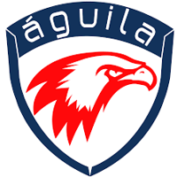Aguila Consulting