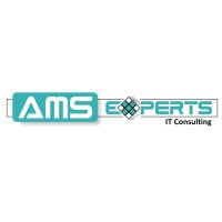 AMS Experts IT Consulting