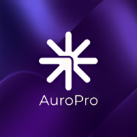 AuroPro Soft Systems