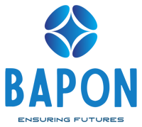 BAPON IT SERVICES LTD