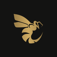 Beetrail International Limited