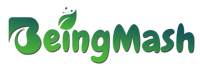 BeingMash Services Private Limited