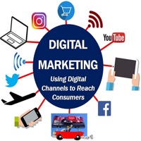 Best SEO Company | SPEEDY WEB TECH