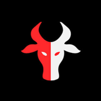 betabulls inc