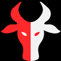 BetaBulls Inc