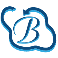 Bhavitra Technologies Private Limited