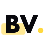 Binary Vision Studios