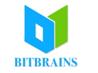 Bitbrains Technology Private Limited