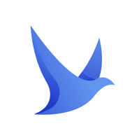Bluebirdz