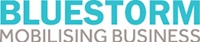 Bluestorm Solutions
