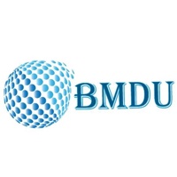 BM Digital utilization LLP