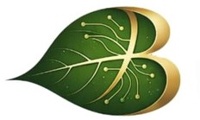Bodhion Solutions Private Limited