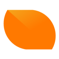 Buzinga App Development