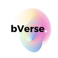 BVERSE LABS PVT LTD