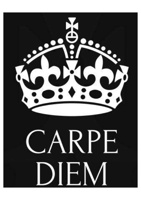 Carpe Diem Teams