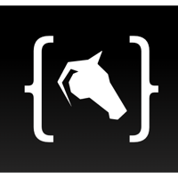 CodeBridle