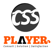 CSS PLAYER IT SOLUTIONS PVT LTD