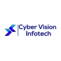 Cyber Vision Infotech Pvt Ltd