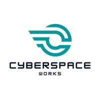 Cyberspace Works