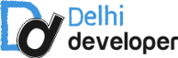 Delhi Developer