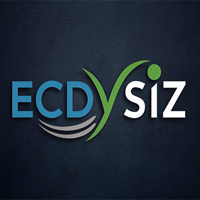 Ecdysiz - Your Digitals Partner For Growth