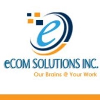 eCom Solutions Inc
