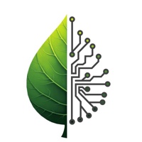 Elvensoft