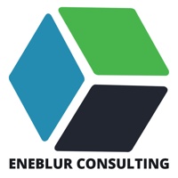 Eneblur Consulting