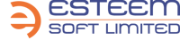 Esteem Soft Limited