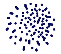 Expert Minds GmbH