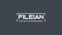 Fileian Ventures Private Limited
