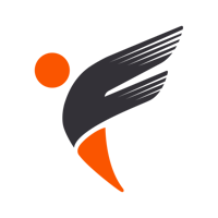 Flexion Infotech Pvt Ltd