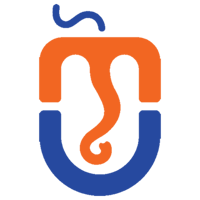 Ganpati Info Solutions