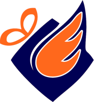 Havfly