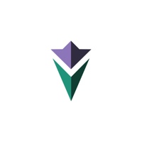 Heliotrope Digital Ltd