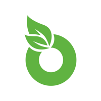INDICORTEX SOLUTIONS LLP