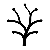 Insalgo
