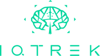 IQTrek Consulting Pvt. Ltd.