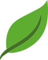 Leaf Software Development