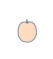 Litchi Solutions