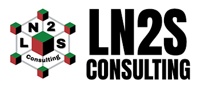 LN2S Consulting LLC