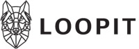 LoopIT