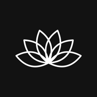 Lotus Creative