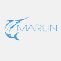 Marlin Web Design Services