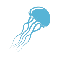 Medusa Consulting