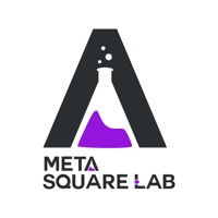 Meta Square Lab